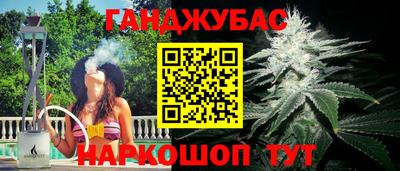 гашик Нарткала