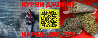 гашик Нарткала