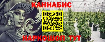 гашик Нарткала