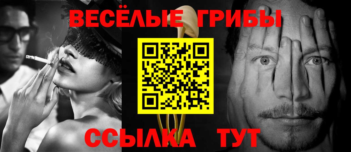 Псилоцибиновые грибы ЛСД Хасавюрт